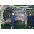 Fruits and Vegetables Vacuum Drying Machines